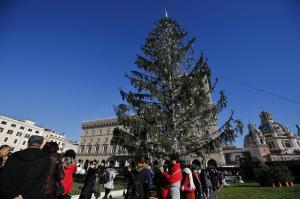 L'albero di Natale di Piazza Venezia, soprannominato Spelacchio